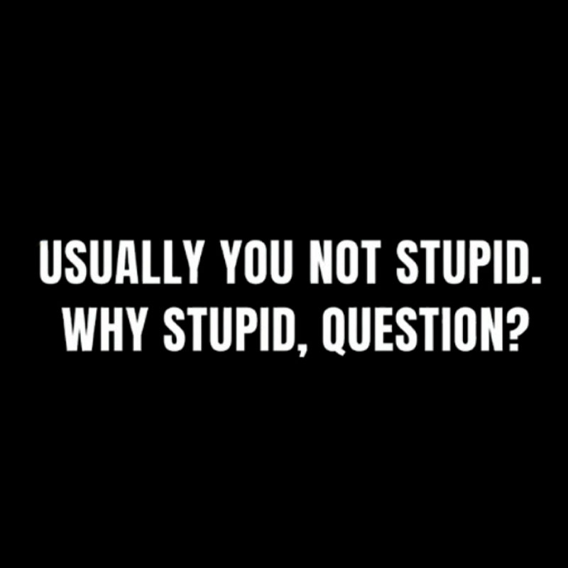 Why Stupid Geek T-Shirt