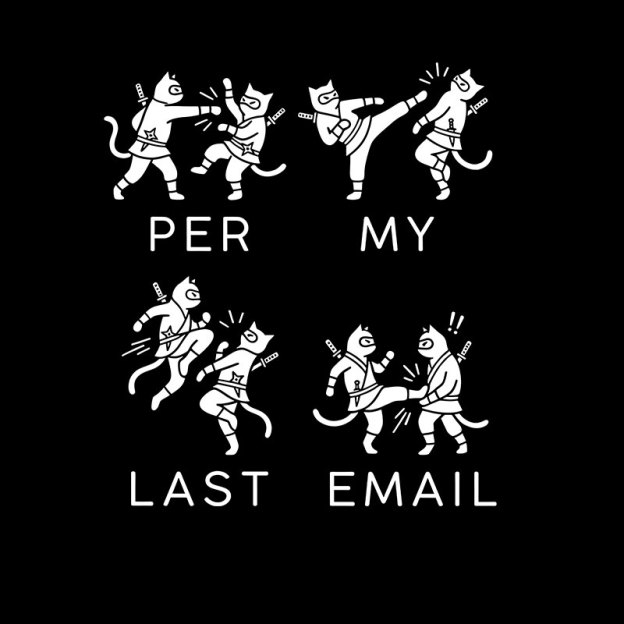 Per My Last Email Geek T-Shirt