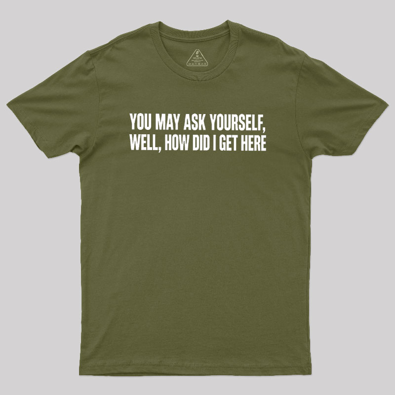 You May Ask Yourself Well How Did I Get Here Geek T-Shirt