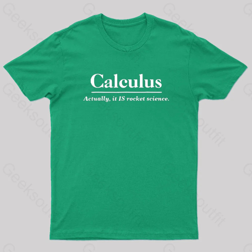 Calculus Actually Is Rocket Science Geek T-Shirt Green / S