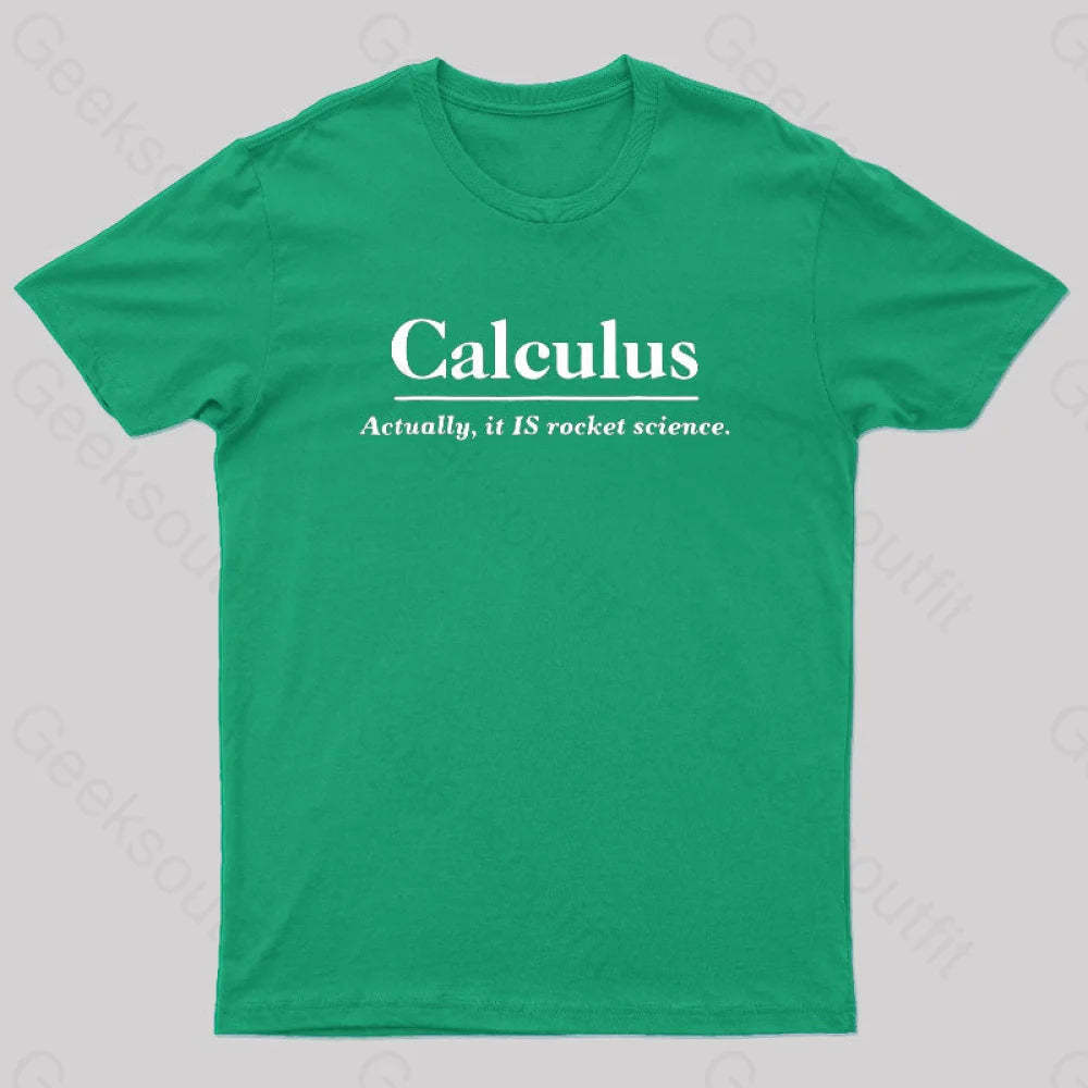 Calculus Actually Is Rocket Science Geek T-Shirt Green / S