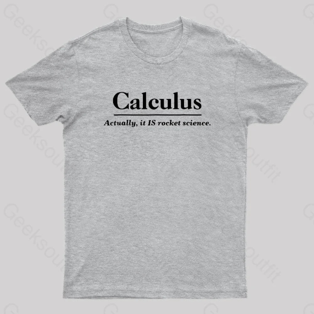 Calculus Actually Is Rocket Science Geek T-Shirt Grey / S