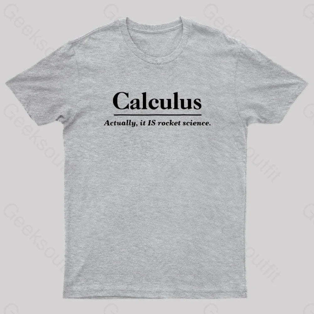 Calculus Actually Is Rocket Science Geek T-Shirt Grey / S