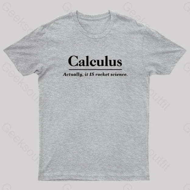 Calculus Actually Is Rocket Science Geek T-Shirt Grey / S