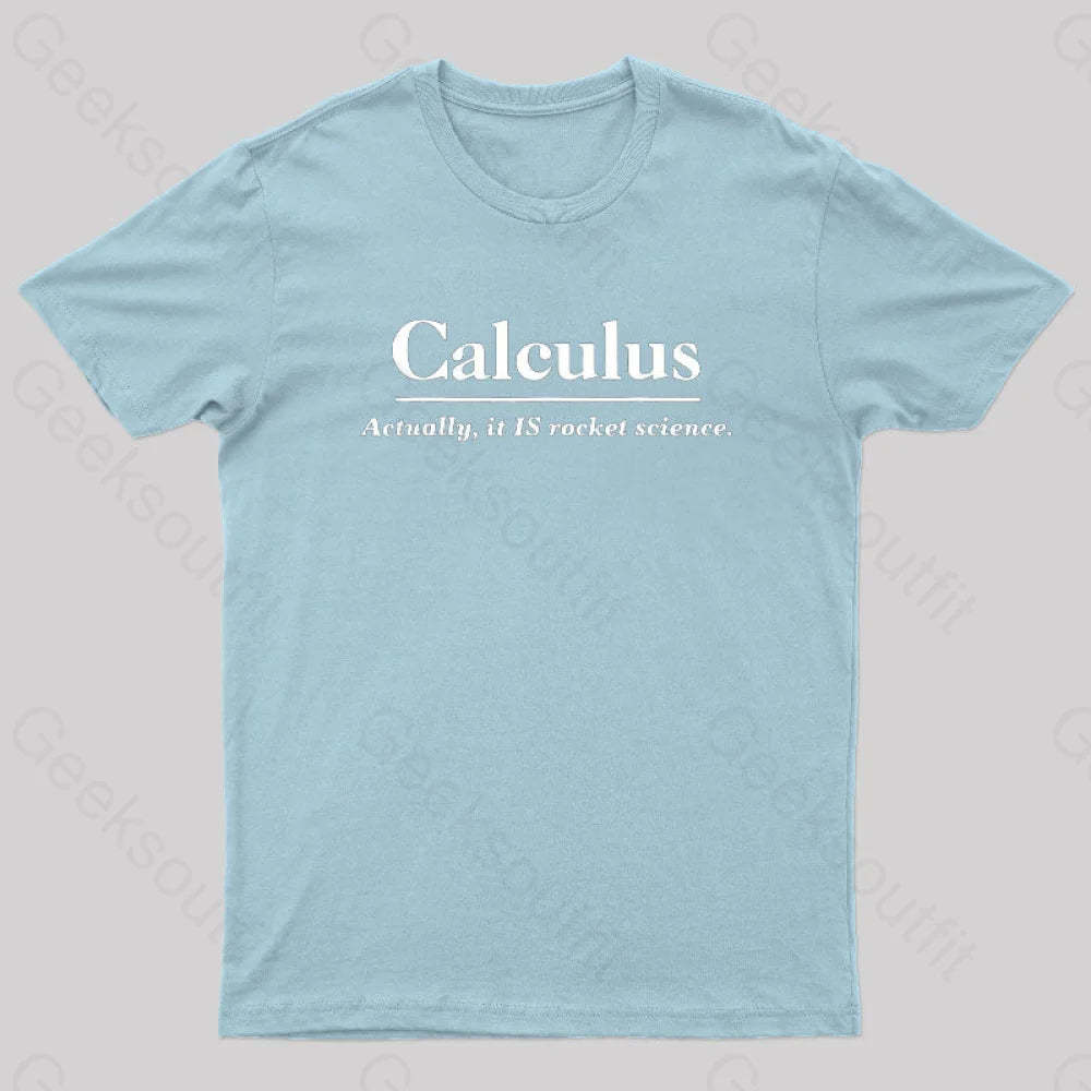 Calculus Actually Is Rocket Science Geek T-Shirt Light Blue / S