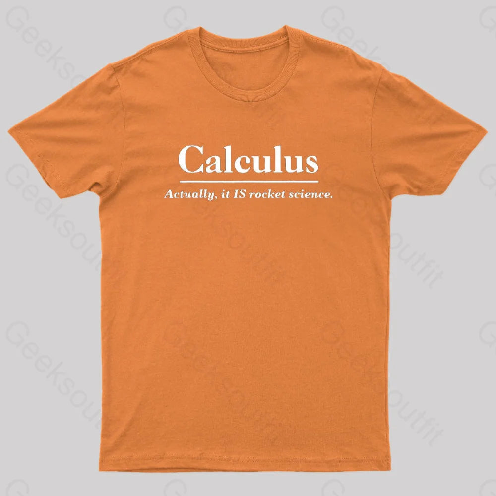 Calculus Actually Is Rocket Science Geek T-Shirt Orange / S