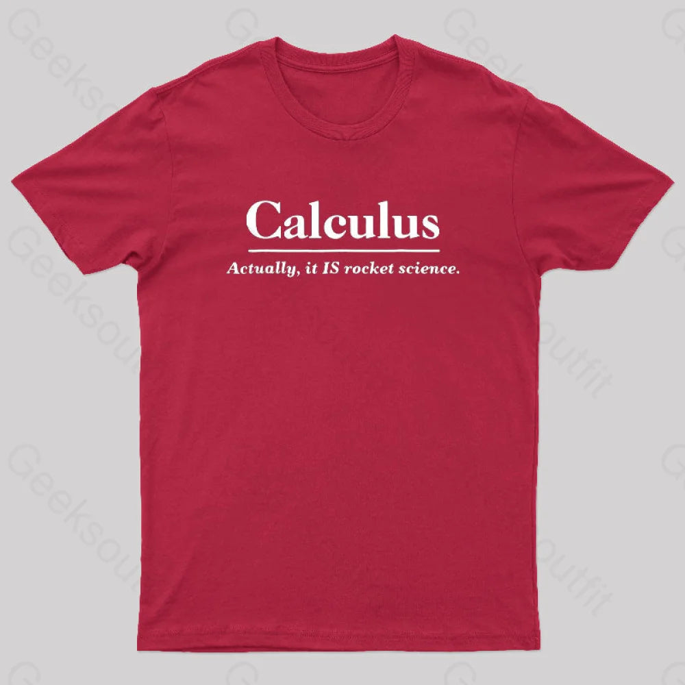 Calculus Actually Is Rocket Science Geek T-Shirt Red / S