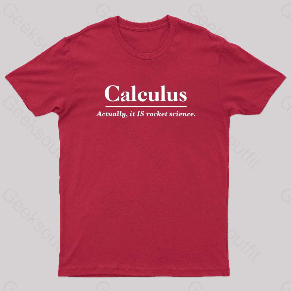 Calculus Actually Is Rocket Science Geek T-Shirt Red / S
