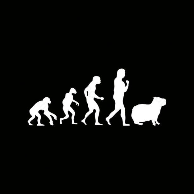Capybara Human Evolution Nerd T-Shirt