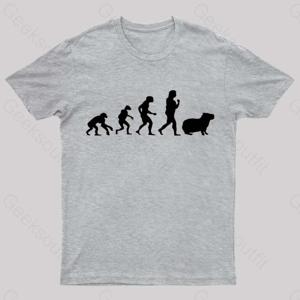 Capybara Human Evolution Nerd T-Shirt Grey / S