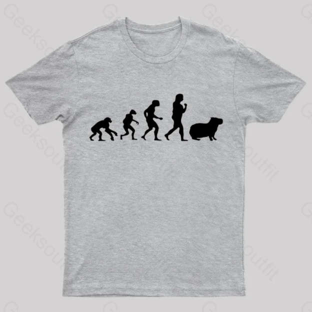 Capybara Human Evolution Nerd T-Shirt Grey / S