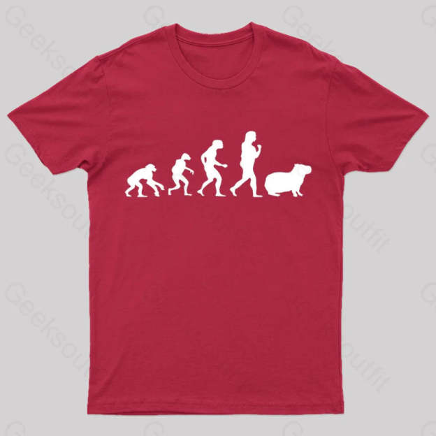 Capybara Human Evolution Nerd T-Shirt Red / S