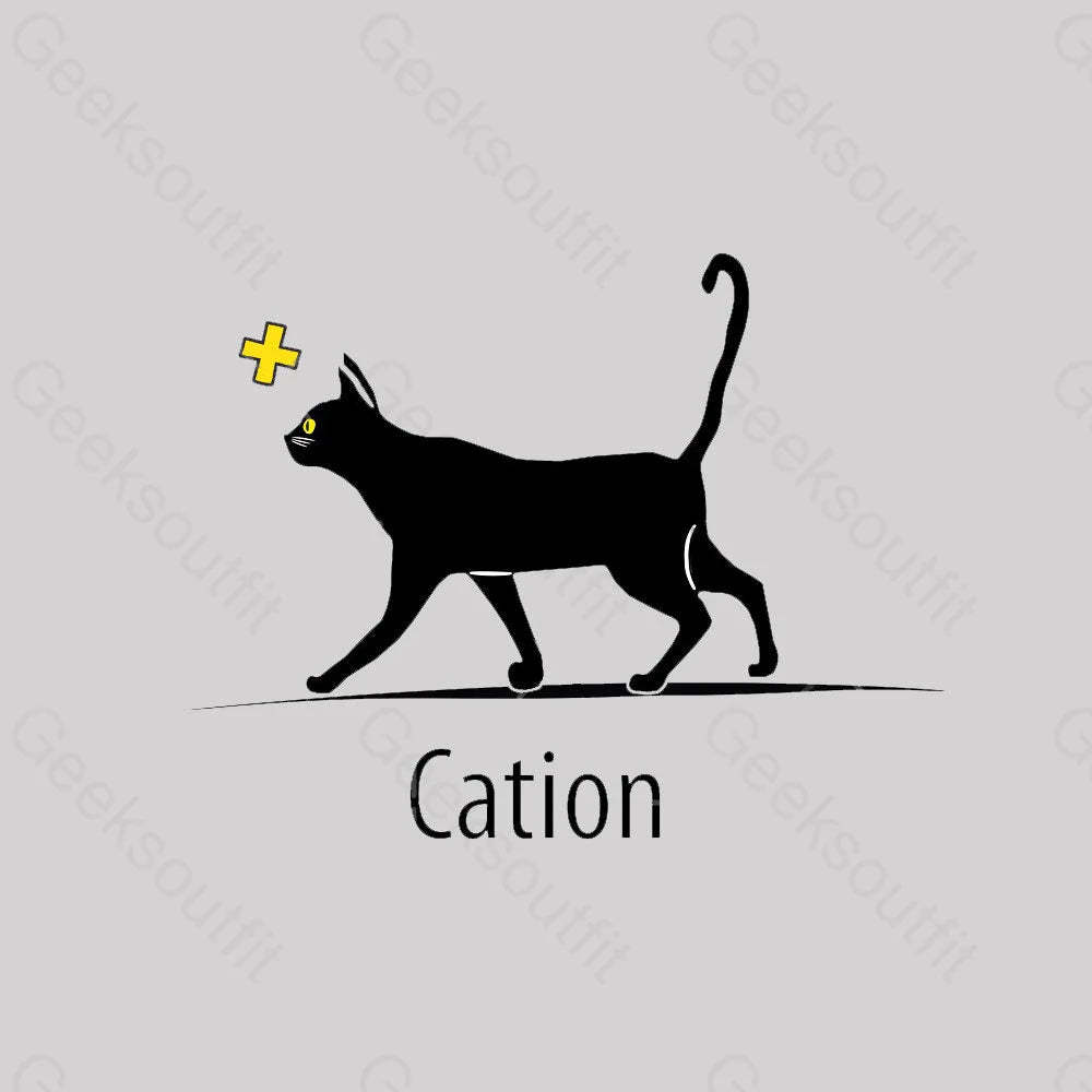 Cation Cat Ion Plus Nerd T-Shirt