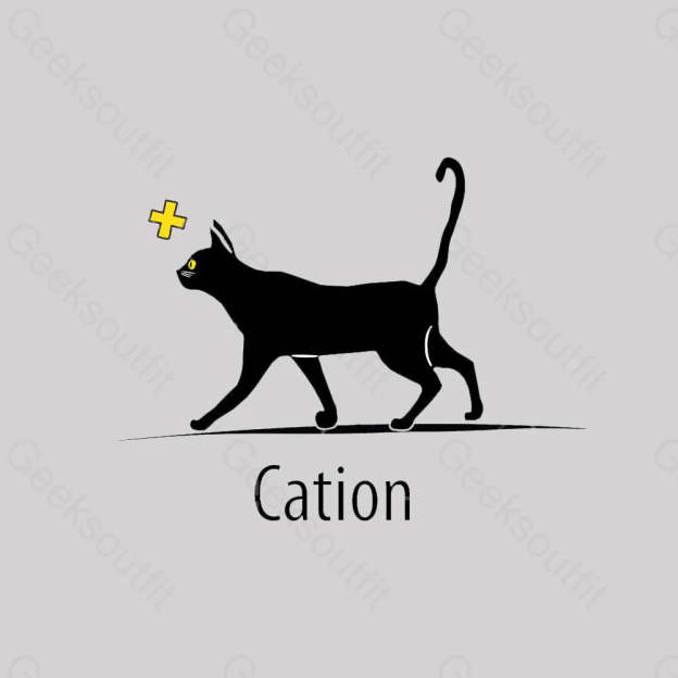 Cation Cat Ion Plus Nerd T-Shirt