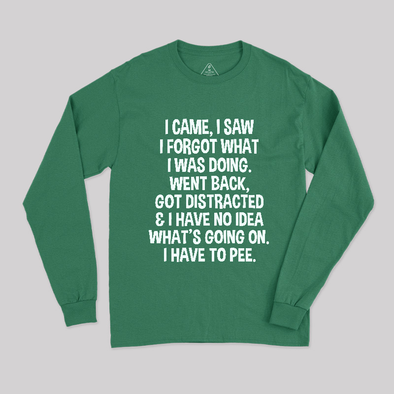 I Came I Saw I Forgot What I Was Doing This Long Sleeve T-Shirt