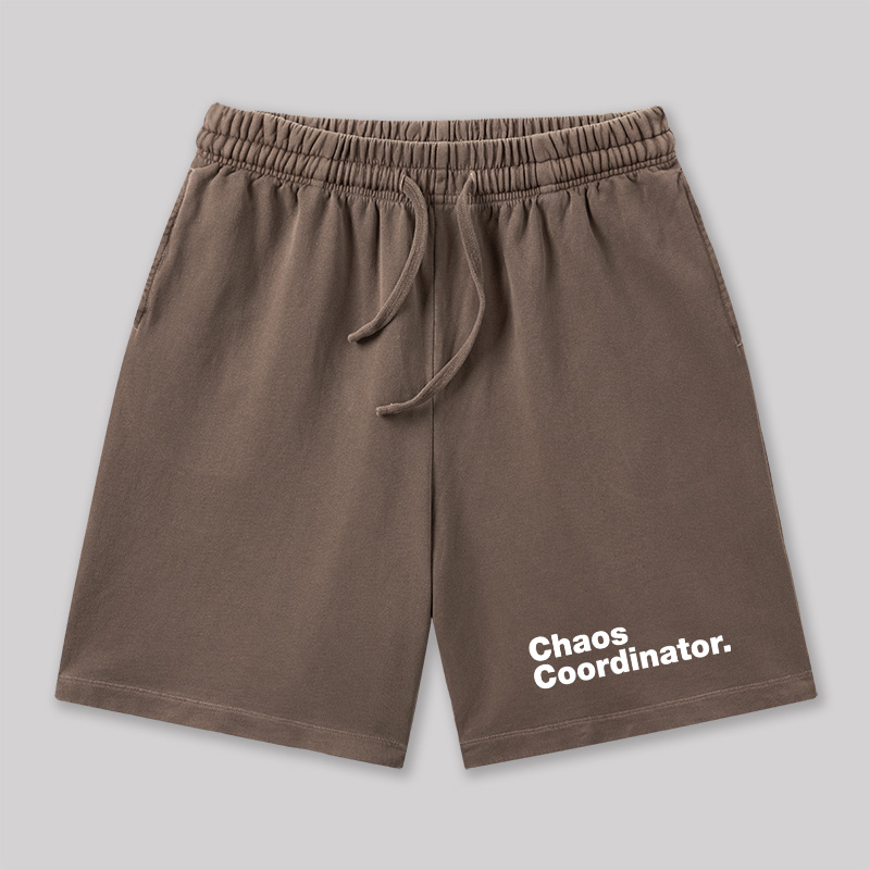 Chaos Coordinator Geeky Washed Shorts