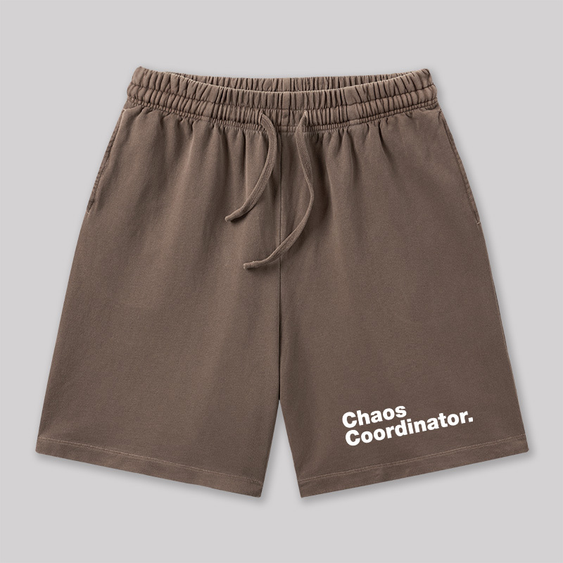 Chaos Coordinator Geeky Washed Shorts