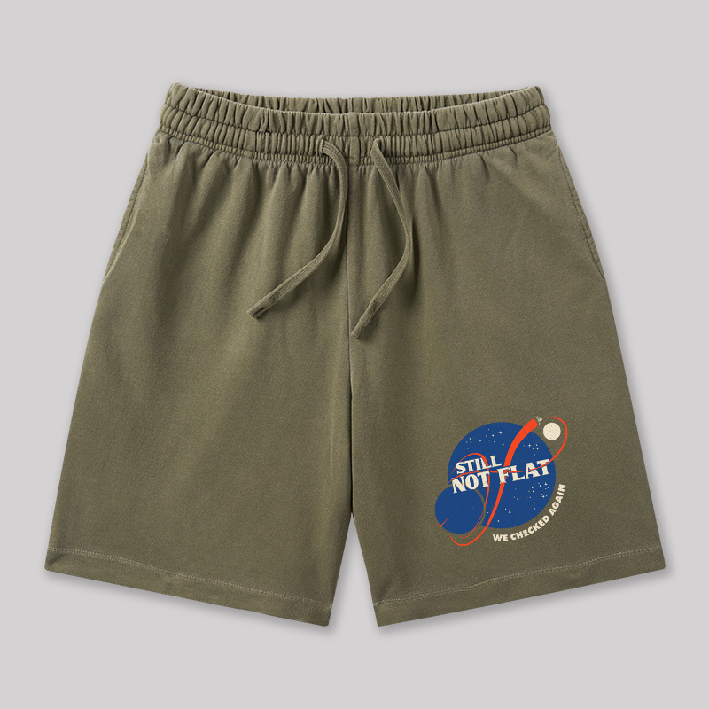 Still Not Flat Geeky Washed Shorts