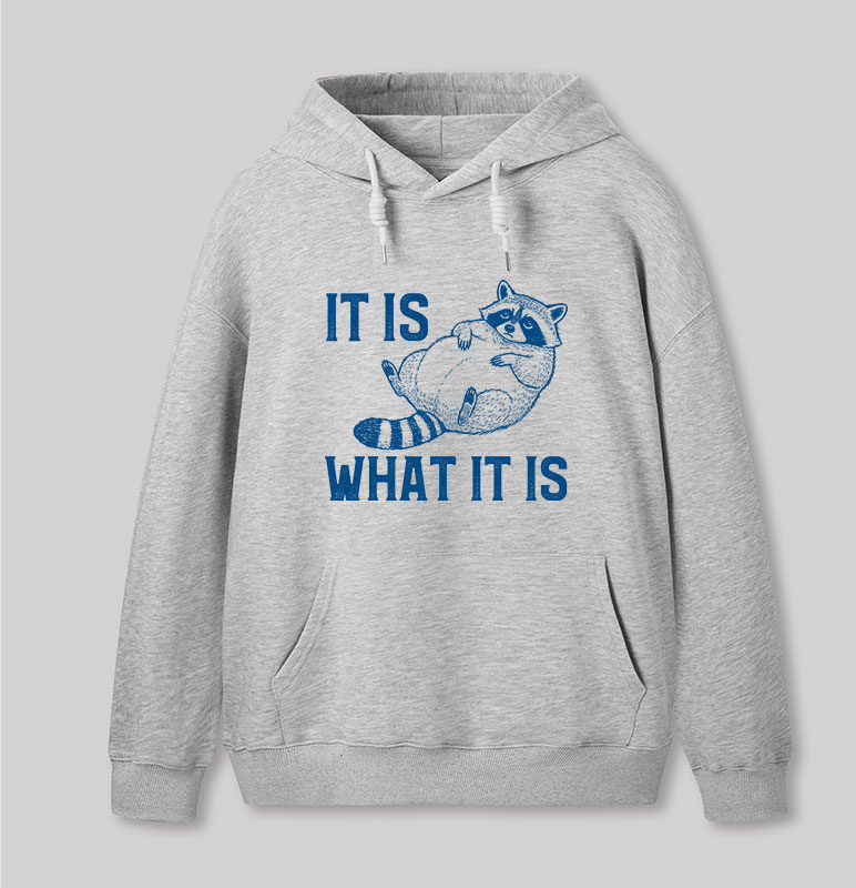 This Is What It Is Geek Hoodie