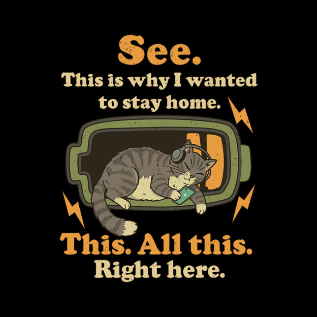 Stay Home Funny Geek T-Shirt