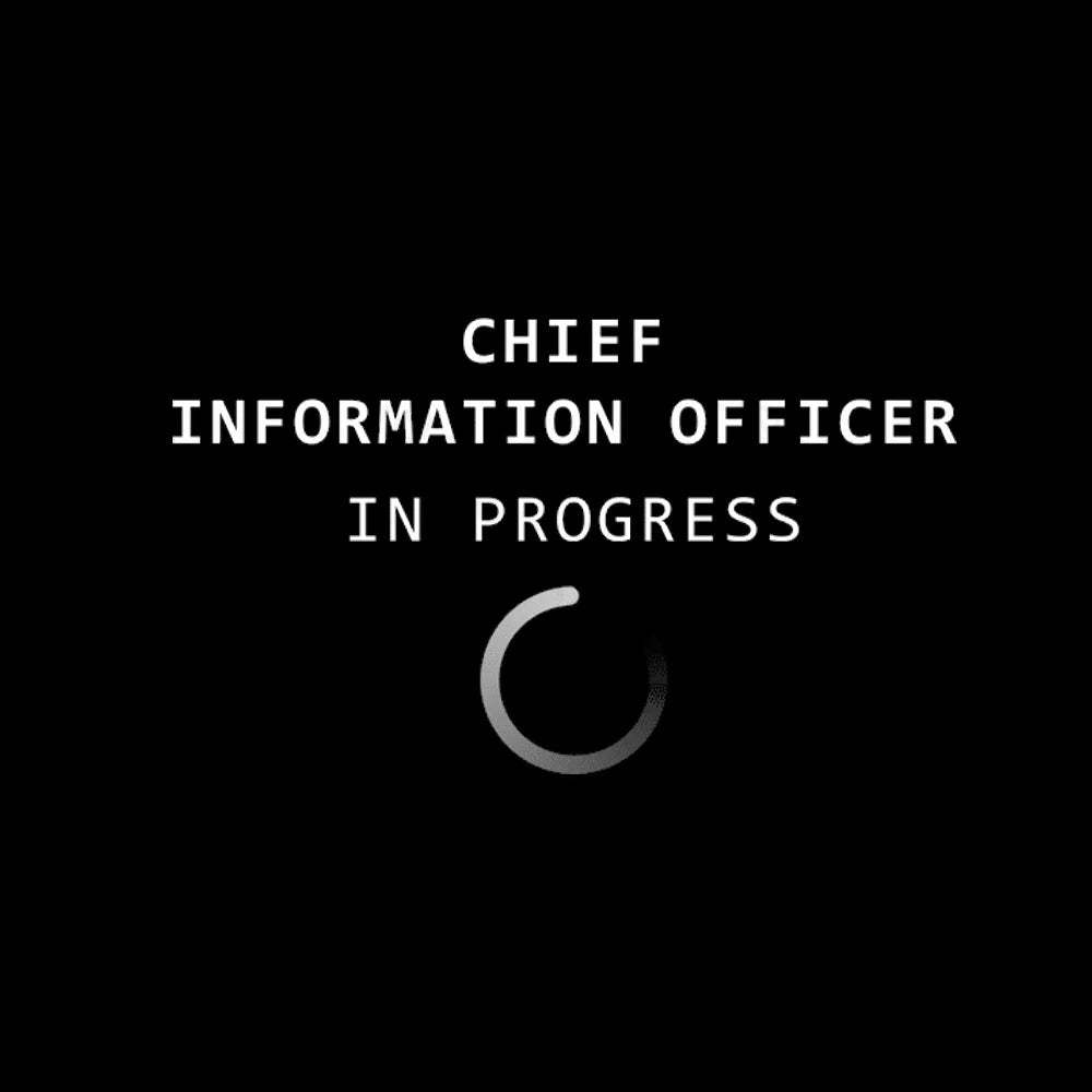 Chief Information Officer Geek T-Shirt