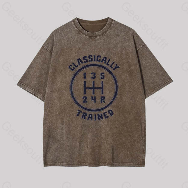 Classically Trained Geek Washed T-Shirt Coffee / S