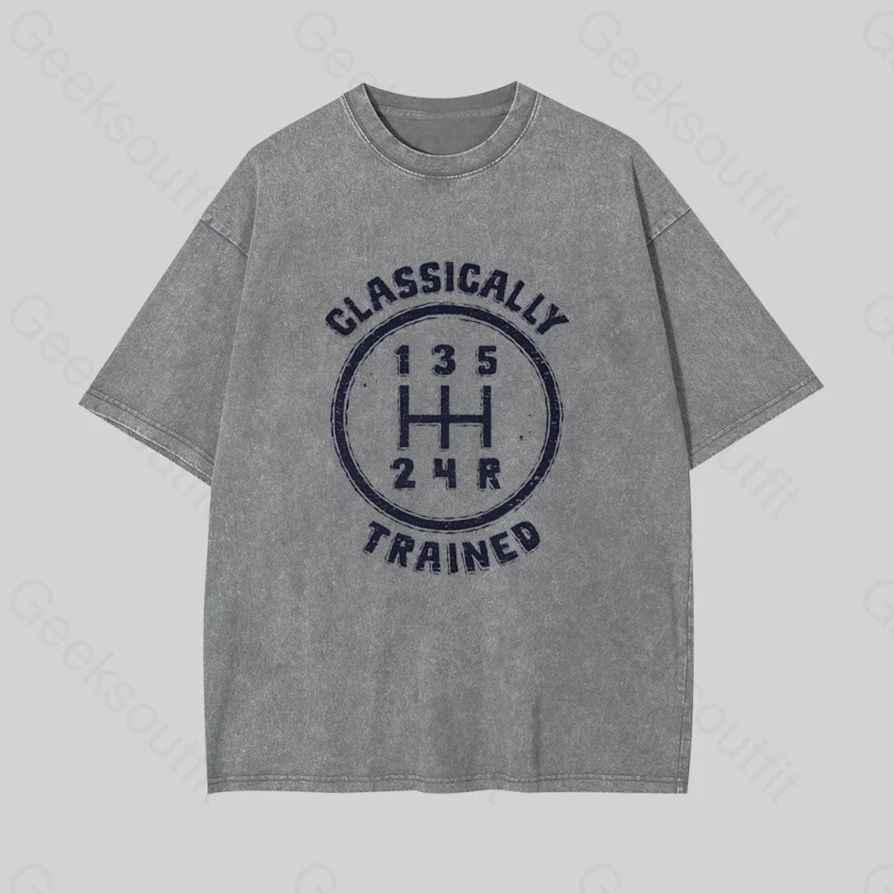Classically Trained Geek Washed T-Shirt Grey / S