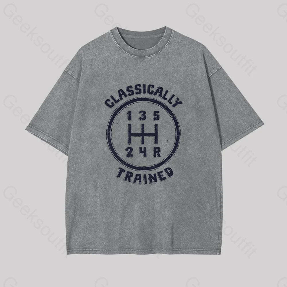 Classically Trained Geek Washed T-Shirt Grey / S