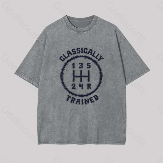 Classically Trained Geek Washed T-Shirt Grey / S