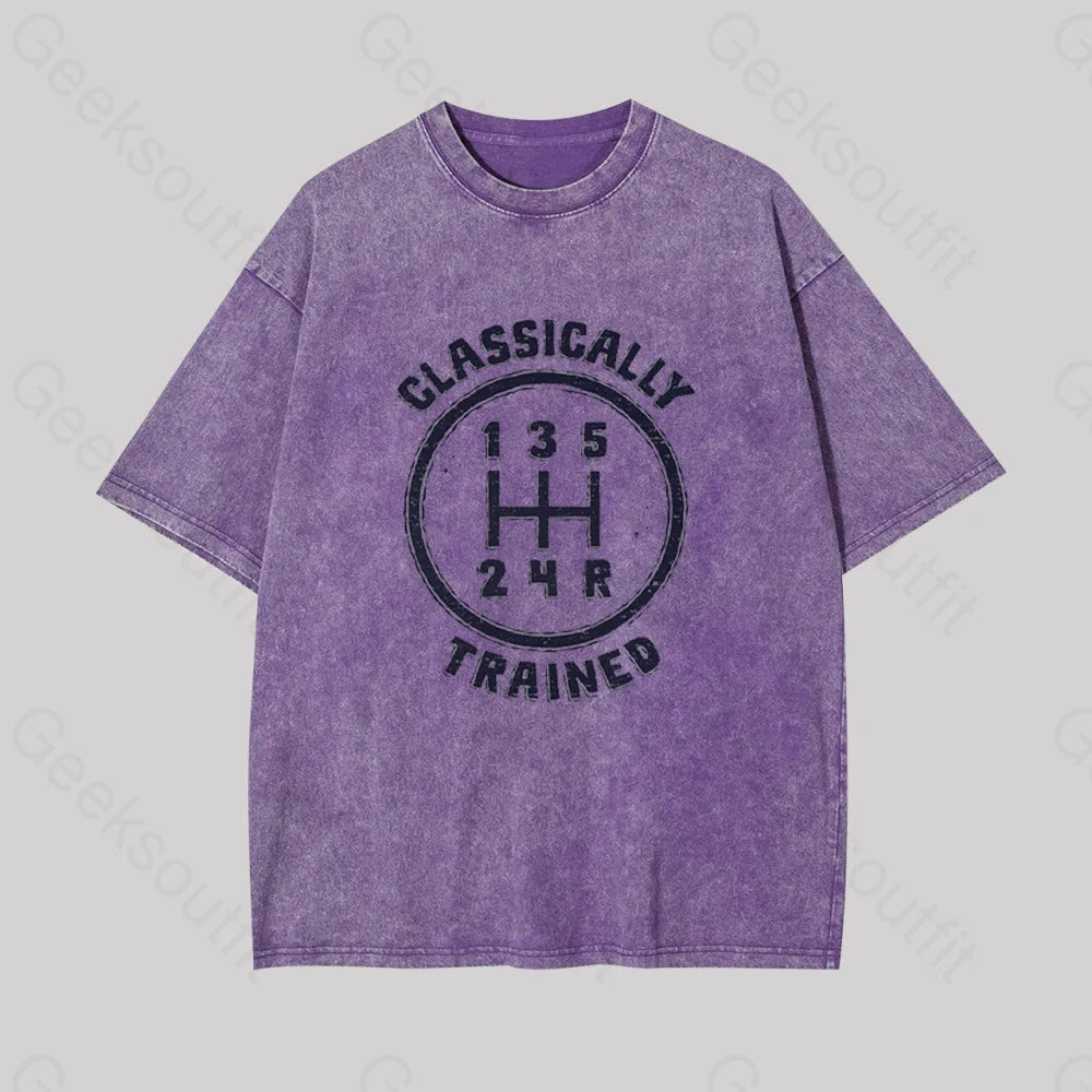 Classically Trained Geek Washed T-Shirt Purple / S