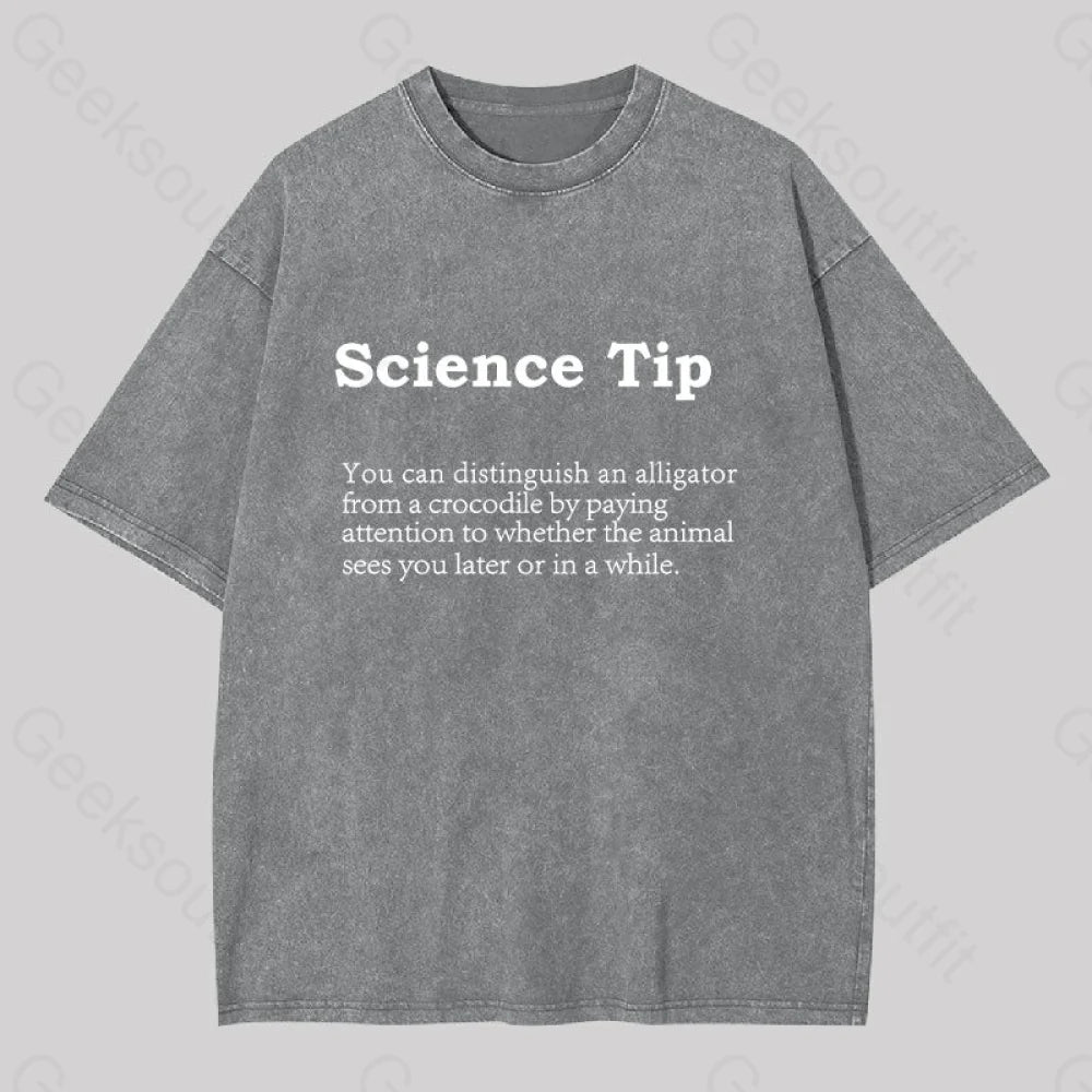 Crocodile Alligator Funny Science Tip Washed T-Shirt Grey / S