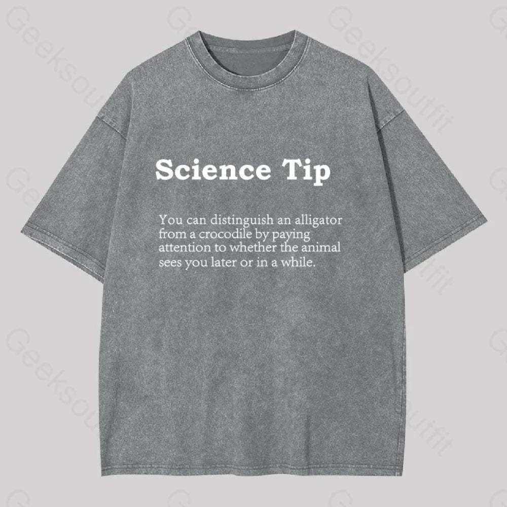 Crocodile Alligator Funny Science Tip Washed T-Shirt Grey / S
