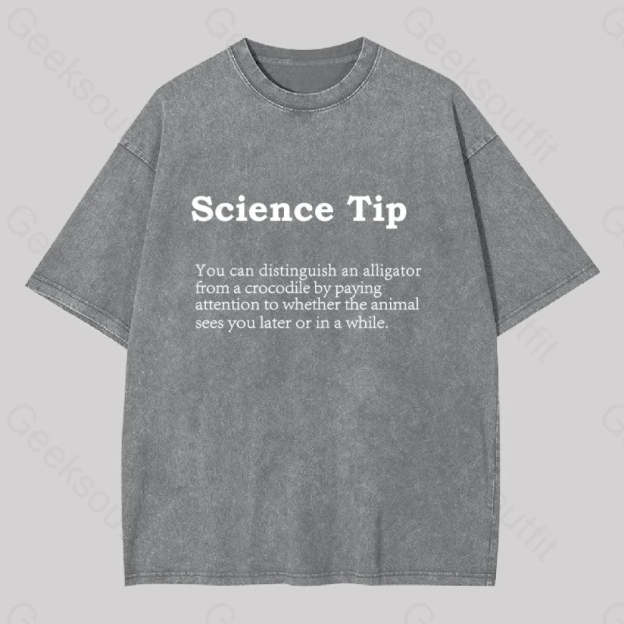 Crocodile Alligator Funny Science Tip Washed T-Shirt Grey / S
