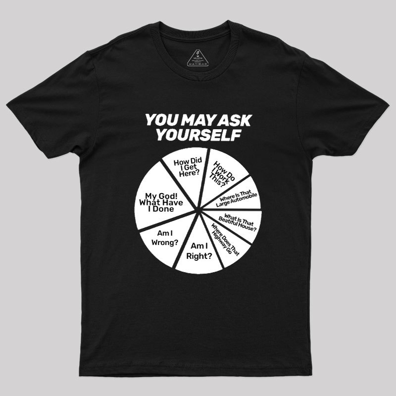 You May Ask Yourself Pie Chart Geek T-Shirt