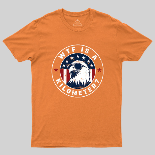 American Flag Colors Kilometers Humor Geek T-Shirt