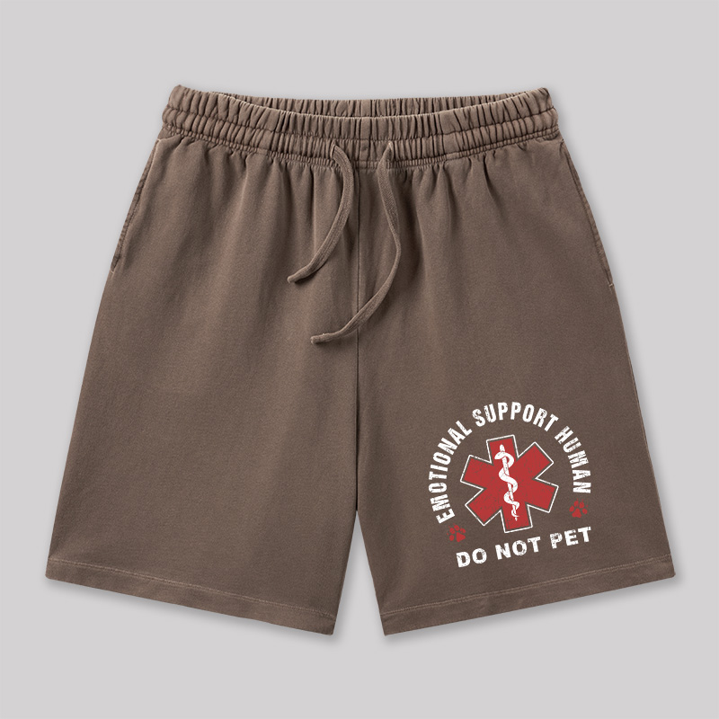 Emotional Support Geeky Washed Shorts