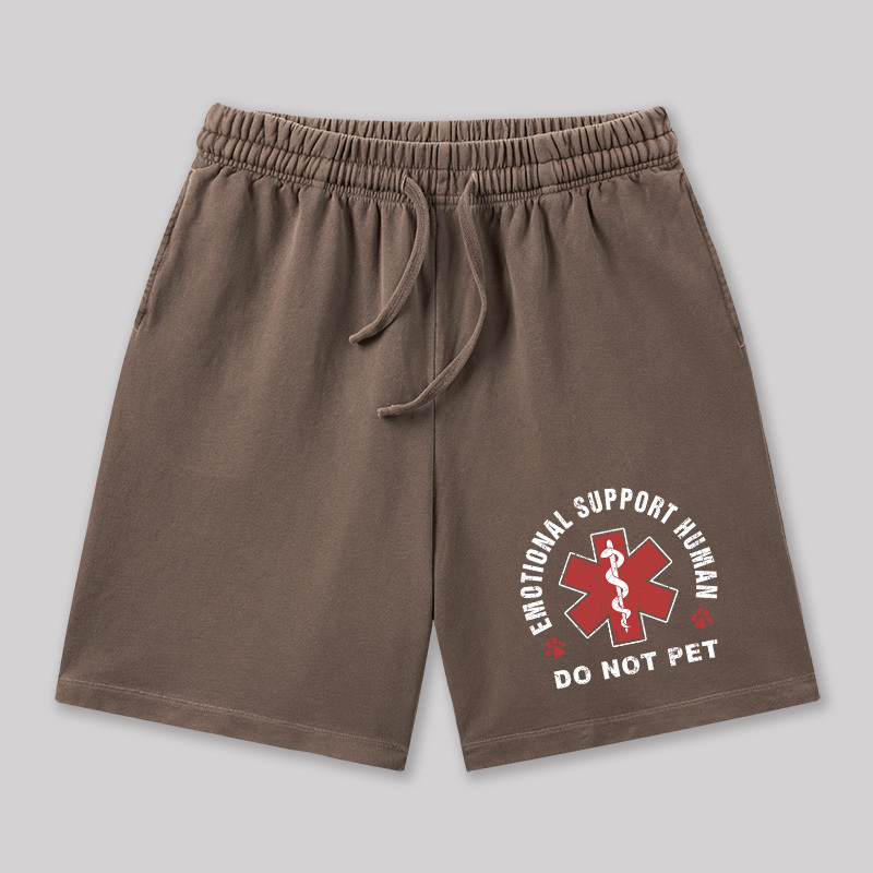 Emotional Support Geeky Washed Shorts