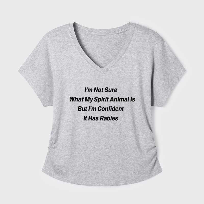 I'm Not Sure What My Spirit Geek Dolman Sleeve V-Neck Shirt