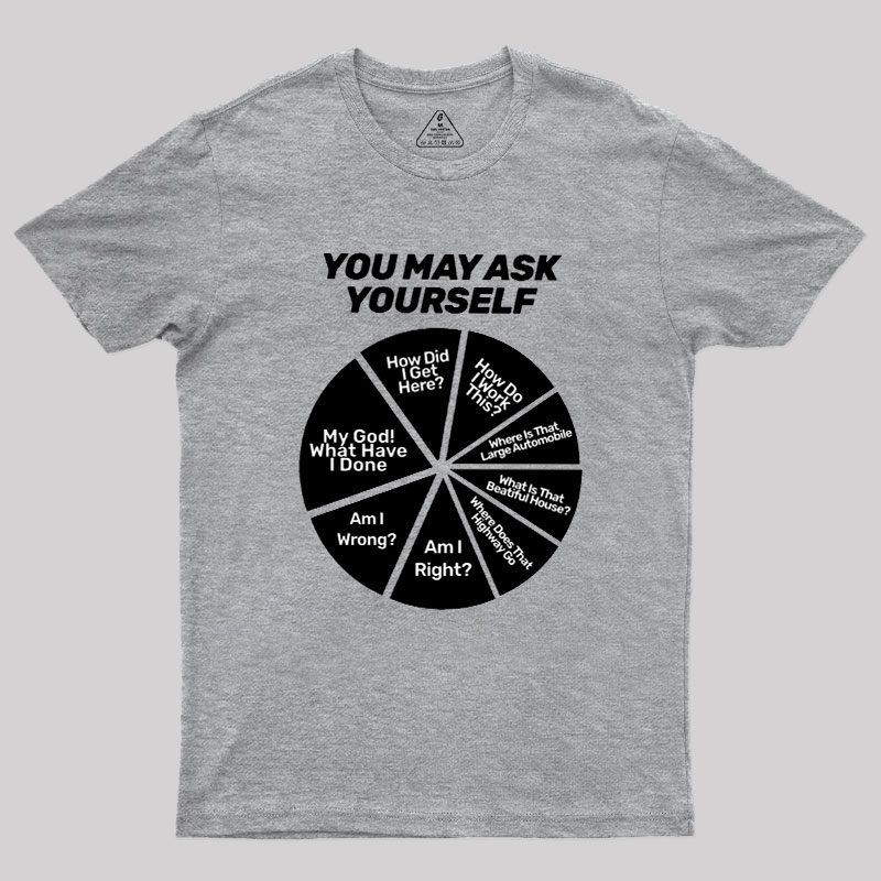 You May Ask Yourself Geek T-Shirt