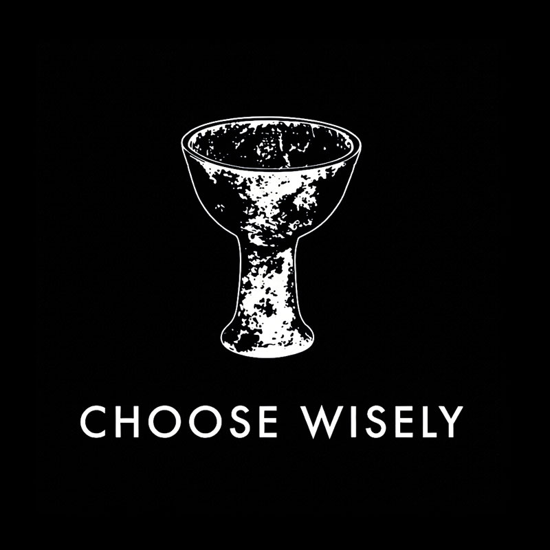 Choose Wisely Geek T-Shirt