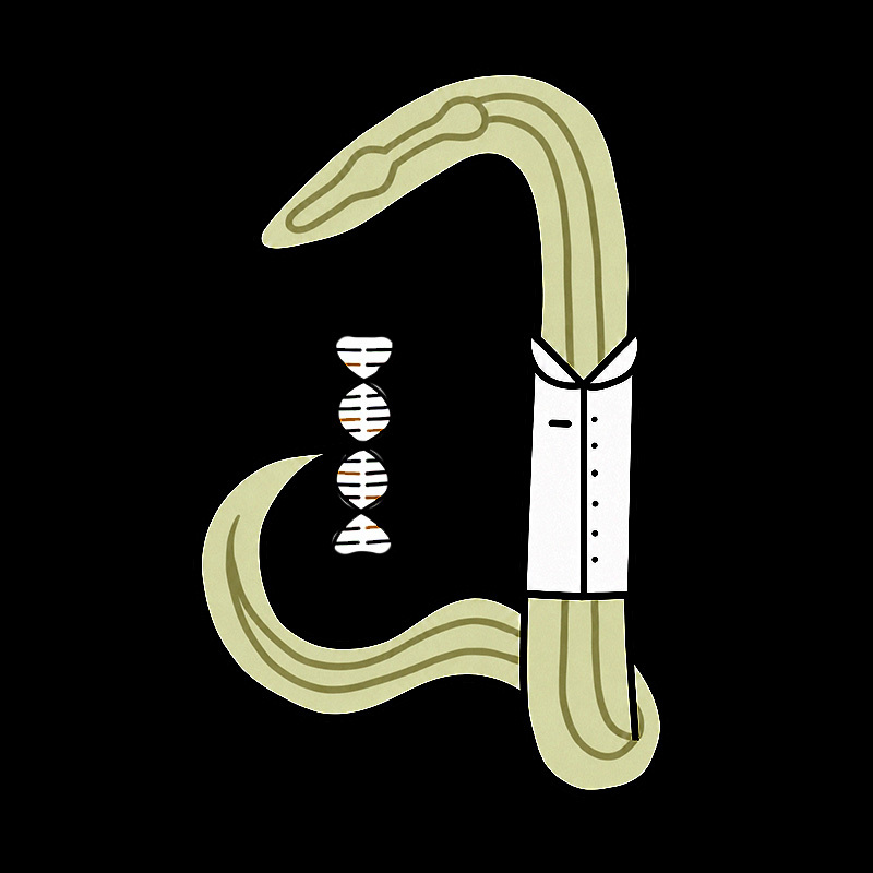 C Elegans Scientist Worm Biology Geek T-Shirt