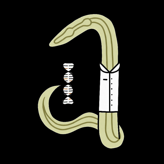 C Elegans Scientist Worm Biology Geek T-Shirt