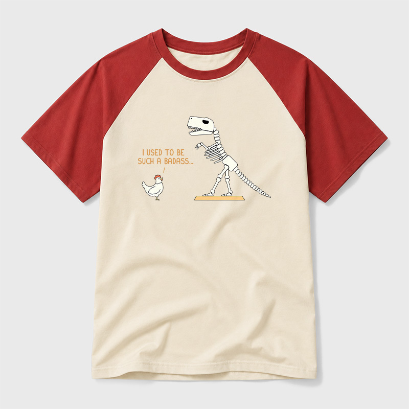 I Used To Be Such A Badass Geek Retro Raglan T-Shirt