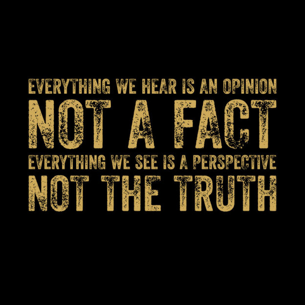 Perspective and Truth Geek T-Shirt