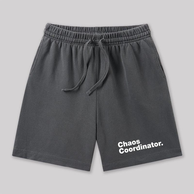 Chaos Coordinator Geeky Washed Shorts