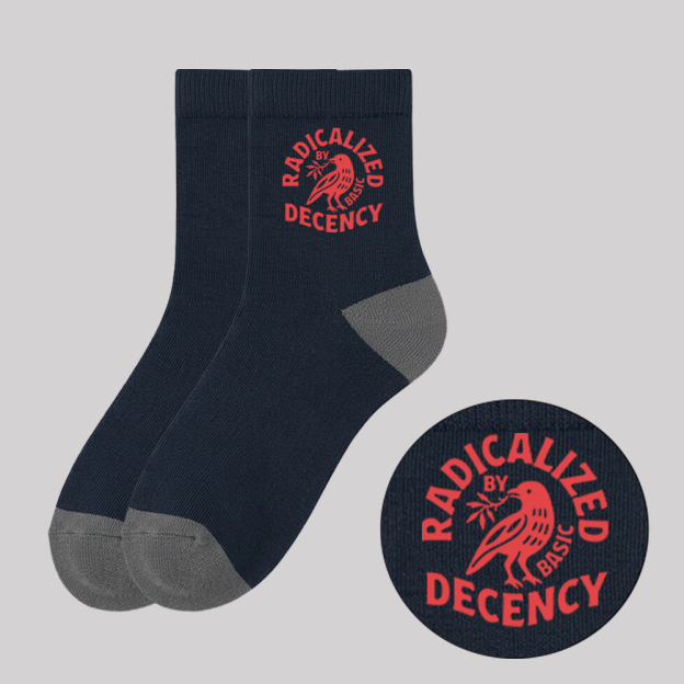 Radicalized By Basic Decency Geek Cotton Daily Socks