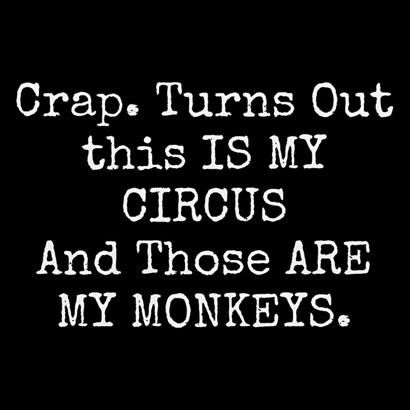 Not My Circus Not My Monkeys Geek T-Shirt