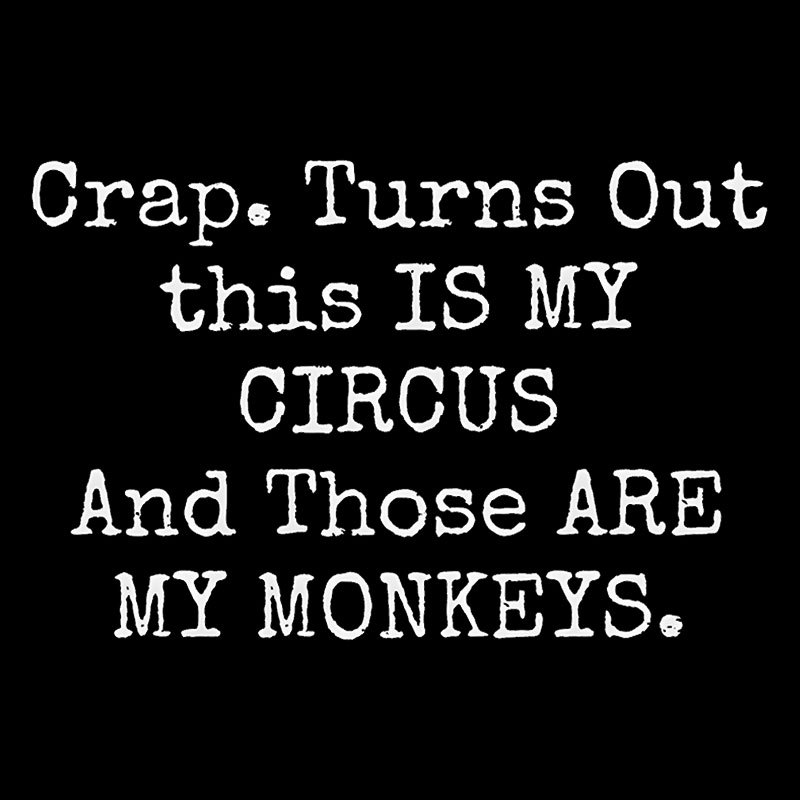 Not My Circus Not My Monkeys Geek T-Shirt