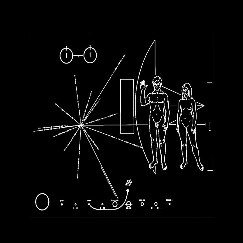 Voyager Golden Record Geek T-Shirt