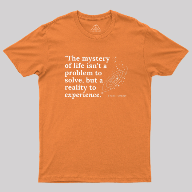A Reality to Experience Geek T-Shirt
